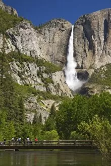 Images Dated 3rd June 2006: CA, Yosemite NP, Upper Yosemite Falls and Merced River