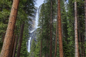 Images Dated 30th March 2011: CA, Yosemite NP, Yosemite Falls
