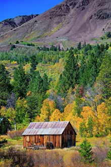 Images Dated 2023: Cabin is in Hope Valley, in the Sierra Nevada, California, USA