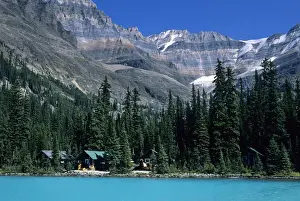 James Kay Prints: Cabins of Lake O Hara Lodge along shore of Lake O hara below the snow-streaked 11