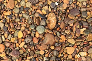 Backgrounds Prints: Cabo Pulmo, Los Cabos area, Baja California, Mexico. Close-up of rocks on the beach