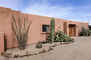 Prints of Cactus outside an adobe building, Tucson, Arizona, United States Images Dated 2018 June: Cactus outside an adobe building, Tucson, Arizona, United States