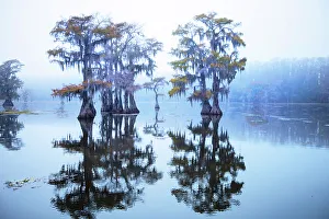 Prints of Caddo Lake morning Images Dated 2022 May: Caddo Lake morning