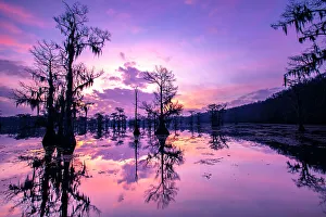 Red River Prints: Caddo Lake at sunrise