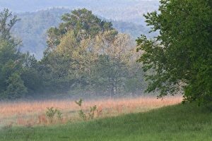 Images Dated 29th April 2011: Cades Cove, Great Smoky Mountains National Park, Tennessee