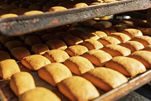 Egypt Prints: Cairo, Egypt, Africa. Rolls on a tray at a Cairo bakery