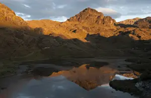 Private Prints: Cajas National Park (3000 - 4, 400m) established in 1996 to protect this High Andean Param fauna