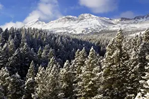 Marias Pass Prints: Calf Robe and Summit Mountains in winter at Marias Pass in Glacier National Park