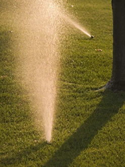 California, Camarillo Sprinklers watering lawn at sunrise