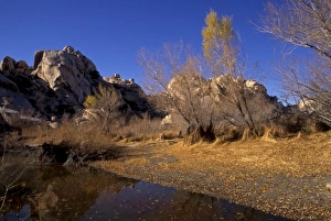 Images Dated 3rd February 2010: California: Joshua Tree National Monument, Barker Dam Lake