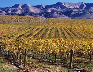 California, San