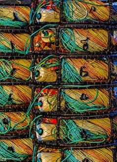 Rope Prints: California, USA, Crescent City, Crescent City Marina