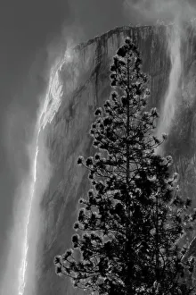 Yosemite Prints: California, Yosemite National Park. El Capitan and waterfall