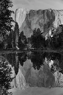 Images Dated 25th January 2024: California, Yosemite National Park. El Capitan reflected in the Merced River