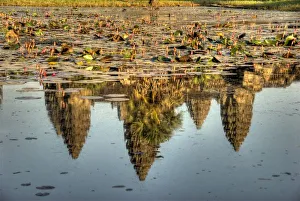 Images Dated 6th December 2008: Cambodia, Angkor