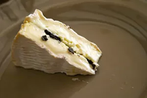 Images Dated 24th May 2007: A camembert cheese stuffed with truffles at La Truffe de Ventoux truffle farm, Vaucluse
