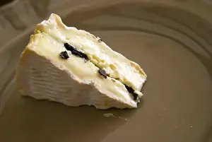 Rhone Prints: A camembert cheese stuffed with truffles at La Truffe de Ventoux truffle farm, Vaucluse