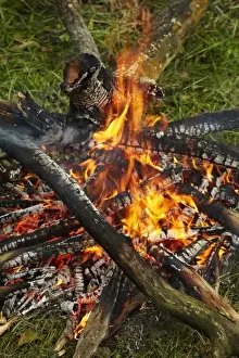 Images Dated 2nd January 2011: Campfire, Central Otago, South Island, New Zealand
