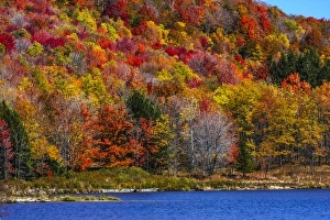 West Virginia Prints: Canaan Valley, West Virginia. Allegheny autumn forest and a blue lake