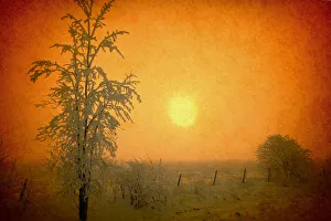Canada. Abstract of frosty sunrise. Credit as: Mike Grandmaison / Jaynes Gallery / DanitaDelimont