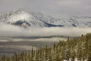 Images Dated 18th December 2009: Canada, Alberta