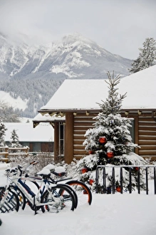 Images Dated 8th December 2008: Canada, Alberta