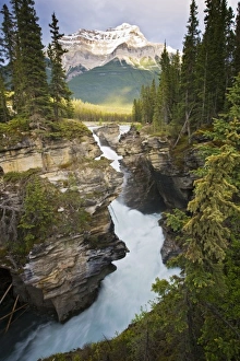Images Dated 19th June 2008: Canada, Alberta