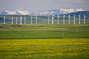 Images Dated 20th June 2008: Canada, Alberta