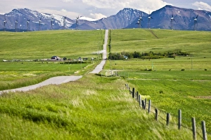 Images Dated 20th June 2008: Canada, Alberta