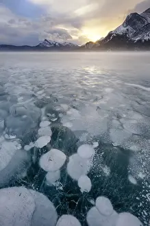 Frozen Prints: Canada, Alberta, Abraham Lake. Winter sunrise over lake and Mount Michener. Credit as