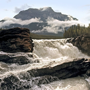 Jasper Prints: Canada, Alberta, Athabasca Falls