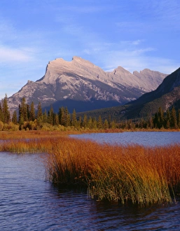 Canada, Alberta, Banff National Park, Marsh grass in Vermilion Lakes and Mount Rundle