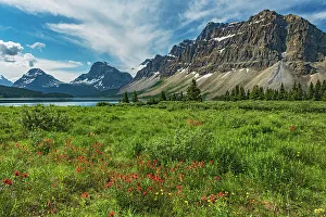 Bow Lake Prints: Canada, Alberta, Banff National Park. Landscape with mountains and meadow next to Bow Lake