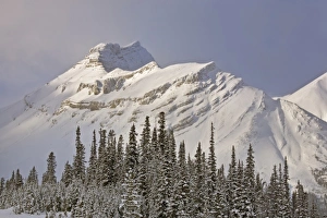 Images Dated 17th December 2009: Canada, Alberta, Banff National Park. Summit of Nigel Peak