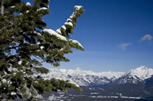 Images Dated 11th December 2008: Canada, Alberta, Banff. Views of the Bow Valley from the summit of Sulphur Mountain
