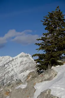 Images Dated 11th December 2008: Canada, Alberta, Banff. Views from the summit of Sulphur Mountain