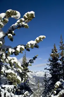 Canada, Alberta, Banff. Winter views of the Bow River Valley