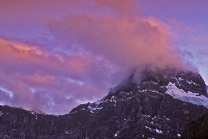 Images Dated 9th July 2010: Canada, Alberta, Baniff National Park. Sunrise-colored clouds hang on a mountain peak