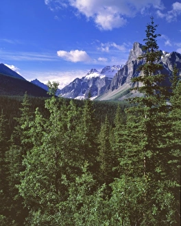 Albert A Prints: Canada, Alberta, Consolation Valley
