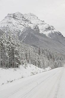 Images Dated 8th December 2008: Canada, Alberta, Icefields Parkway. Jasper National Park in winter. Scenic highway