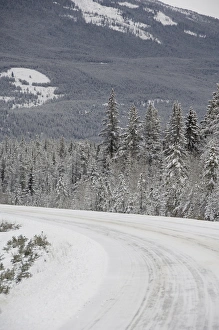Images Dated 8th December 2008: Canada, Alberta, Icefields Parkway. Jasper National Park in winter. Scenic highway