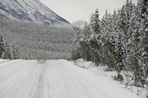 Images Dated 8th December 2008: Canada, Alberta, Icefields Parkway. Jasper National Park in winter. Scenic highway