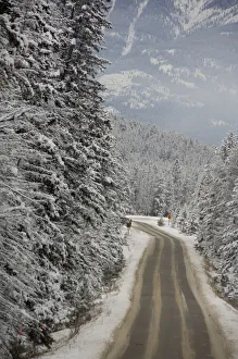 Images Dated 8th December 2008: Canada, Alberta, Jasper, Jasper NP. Fairmont Jasper Park Lodge, road to lodge