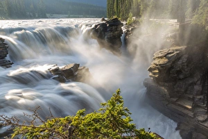 Images Dated 2nd August 2014: Canada, Alberta, Jasper National Park, Athabasca Falls