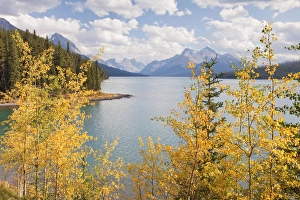 Images Dated 24th September 2009: Canada, Alberta, Jasper National Park. Landscape of Maligne Lake and mountains. Credit as