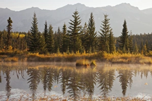 Images Dated 25th September 2009: Canada, Alberta, Jasper National Park. Scenic of Cottonwood Slough