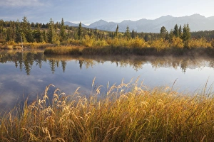 Images Dated 25th September 2009: Canada, Alberta, Jasper National Park. Scenic of Cottonwood Slough