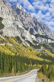 Images Dated 27th September 2009: Canada, Alberta, Jasper National Park. Scenic of The Icefields Parkway. Credit as