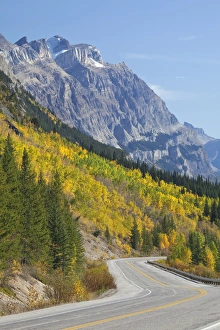 Images Dated 27th September 2009: Canada, Alberta, Jasper National Park. Scenic of The Icefields Parkway. Credit as
