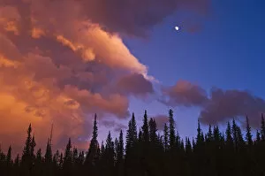 Images Dated 20th May 2005: Canada, Alberta, Jasper National Park. Clouds over forest at sunset